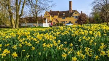 Thorington Hall, Thorington Street