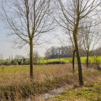 Thorington Hall, Thorington Street