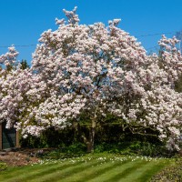 Flatford, East Bergholt