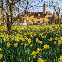 Thorington Hall, Thorington Street