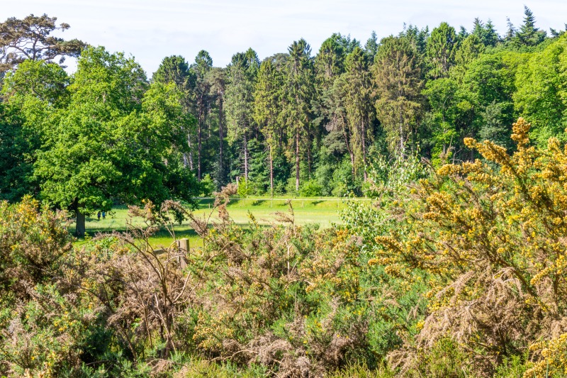 Rushmere Country Park