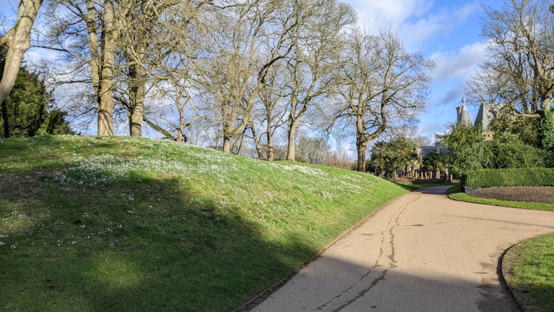 Waddesdon Manor Snowdrops