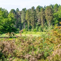 Rushmere Country Park