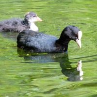 Rushmere Country Park