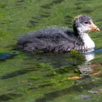 Rushmere Country Park