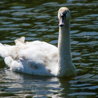 Rushmere Country Park