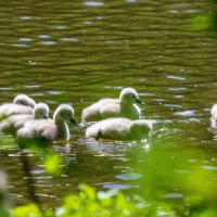 Rushmere Country Park