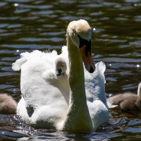 Rushmere Country Park