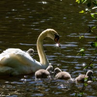 Rushmere Country Park