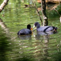 Rushmere Country Park