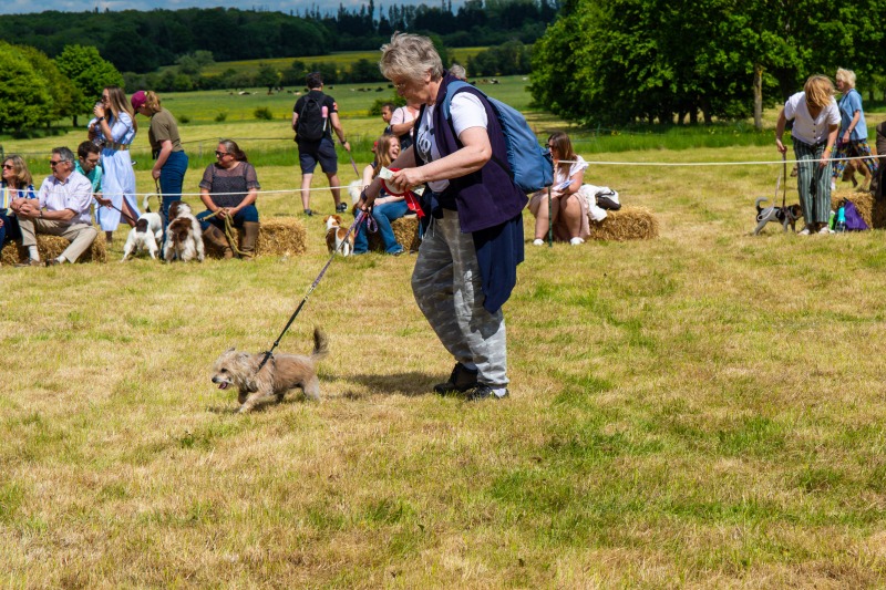 Wotton Fete