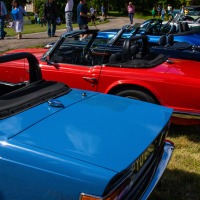Wotton Fete