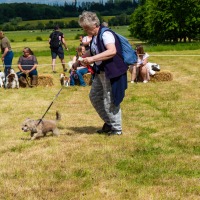 Wotton Fete