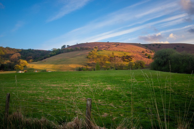 Fforest Fields Camping