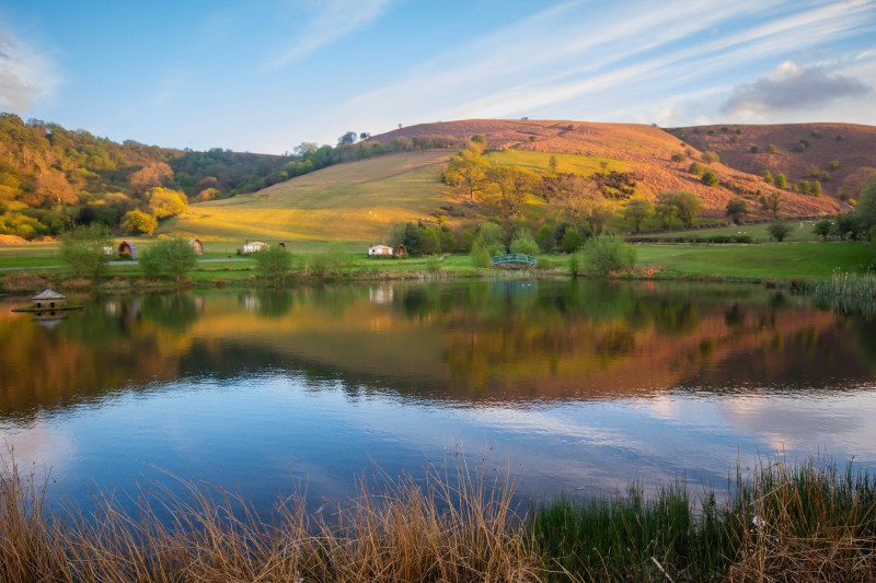 Fforest Fields Camping