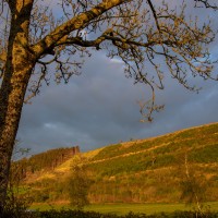 Fforest Fields Camping