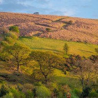 Fforest Fields Camping