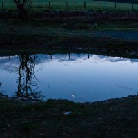 Fforest Fields Camping