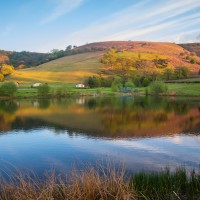 Fforest Fields Camping