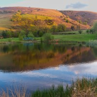 Fforest Fields Camping