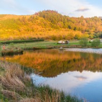 Fforest Fields Camping