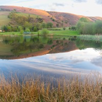 Fforest Fields Camping