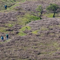 Fforest Fields Paragliding