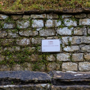 National Trust Chedworth Roman Villa