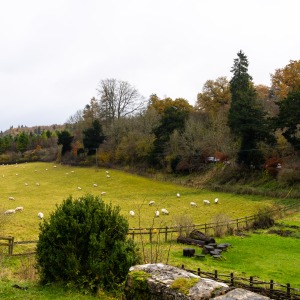 National Trust Chedworth Roman Villa