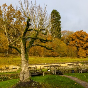 National Trust Chedworth Roman Villa