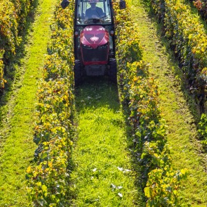 France - Saint Emilion