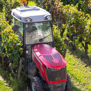 France - Saint Emilion