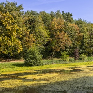 France - Rauzan