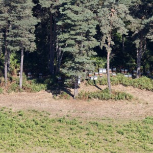 France, La Garandie, Aydat