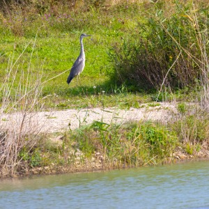 France - Camping Nature