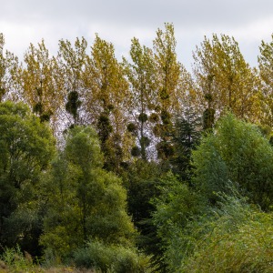 France - Camping Nature