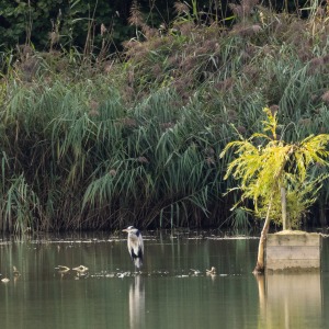 France - Camping Nature