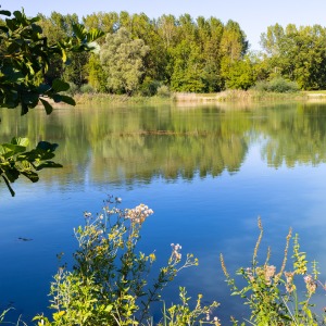 France - Camping Nature