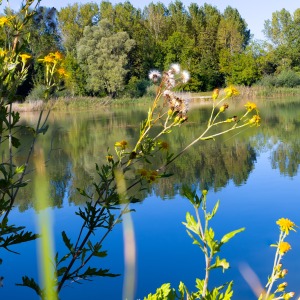 France - Camping Nature