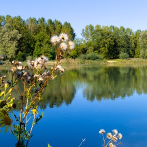 France - Camping Nature