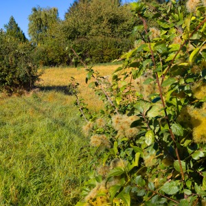 France - Camping Nature
