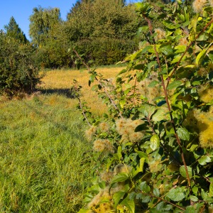 France - Camping Nature