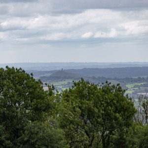 Deerleap Viewpoint