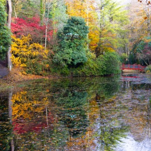 Portmeirion village and gardens