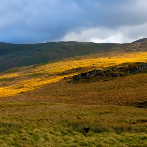 Snowdon National Park