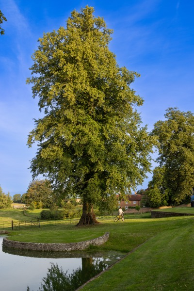 Visit to Addingrove Farm