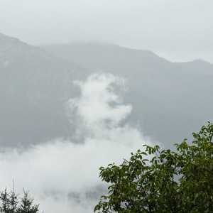 Baratier - A damp day