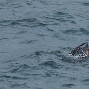 Camping Holiday to the Outer Hebrides
