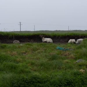 Camping Holiday to the Outer Hebrides