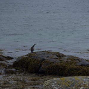 Camping Holiday to the Outer Hebrides